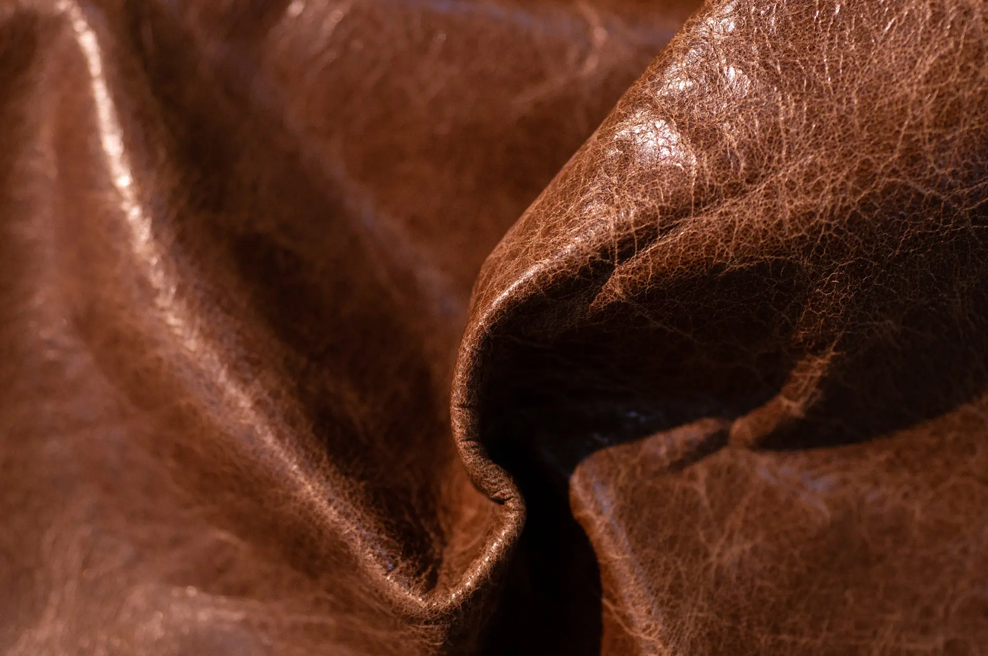 Close-up of a piece of brown leather with visible texture and natural creases, reflecting light on its slightly glossy surface.